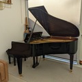 Raum Vermieten: Kawai Grand Piano for practice upon request
