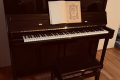 Renting out: Bechstein Klavier zum Üben 
