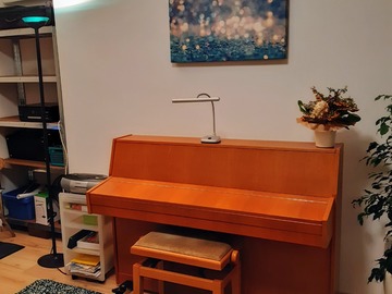Raum Vermieten: Unterrichts/Übungsraum mit Klavier und E-Pianos
