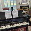 Raum Vermieten: Shigeru Kawai SK-5 6'6" grand piano