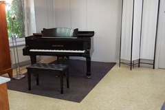 Raum Vermieten: Flügelzimmer in Leipzig -Musikzimmer 4