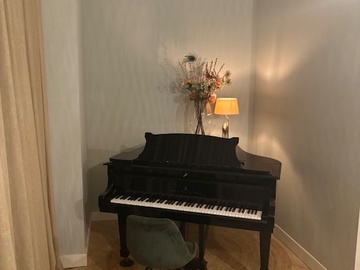 Renting out: Studio with a Steinway grand piano for rent in Amsterdam