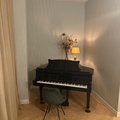 Raum Vermieten: Studio with a Steinway grand piano for rent in Amsterdam