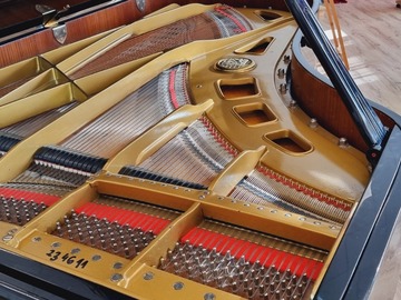 Raum Vermieten: Rental of the Petrof P 210 Pasat concert grand piano