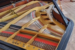 Raum Vermieten: Rental of the Petrof P 210 Pasat concert grand piano