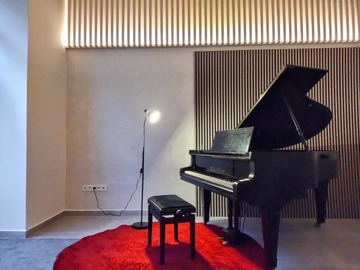 Renting out: Piano Studio for rent in Prague (Letná) 