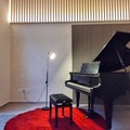 Raum Vermieten: Piano Studio for rent in Prague (Letná) 