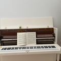 Raum Vermieten: Hoffmann Klavier 