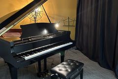 Raum Vermieten: Private studio with grand piano in Ottawa, Canada