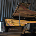 Raum Vermieten: Steinway D - Einzigartiger Konzertflügel