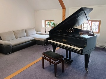 Raum Vermieten: Piano Studio for rent in Prague (Kampa) 