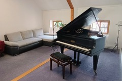 Raum Vermieten: Piano Studio for rent in Prague (Kampa) 