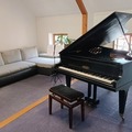 Raum Vermieten: Piano Studio for rent in Prague (Kampa) 