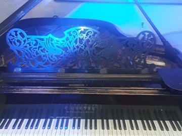 Raum Vermieten: Musikzimmer 1 mit Flügel