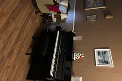 Raum Vermieten: Tuned Kawai Upright Piano in Dehradun 