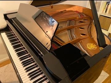 Renting out: Schönes Zimmer in der Schanze mit neuem Grotrian Flügel 