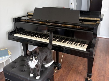 Raum Vermieten: Kawai Grand Piano in beautiful private apartment
