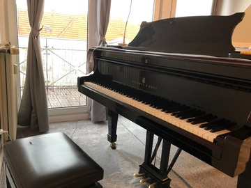Renting out: Steinway Model A in a Sunny Studio